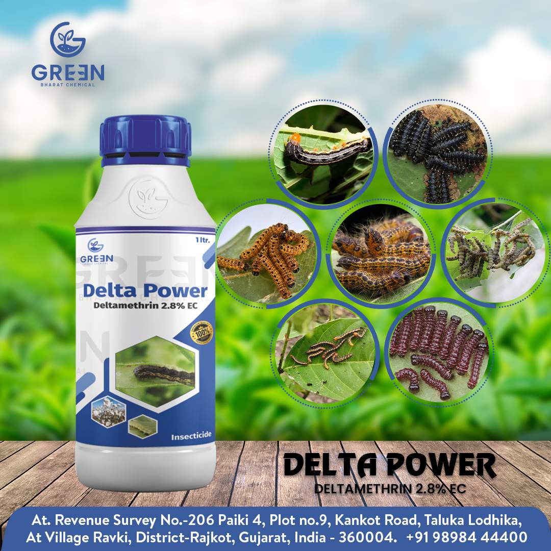 Delta Power